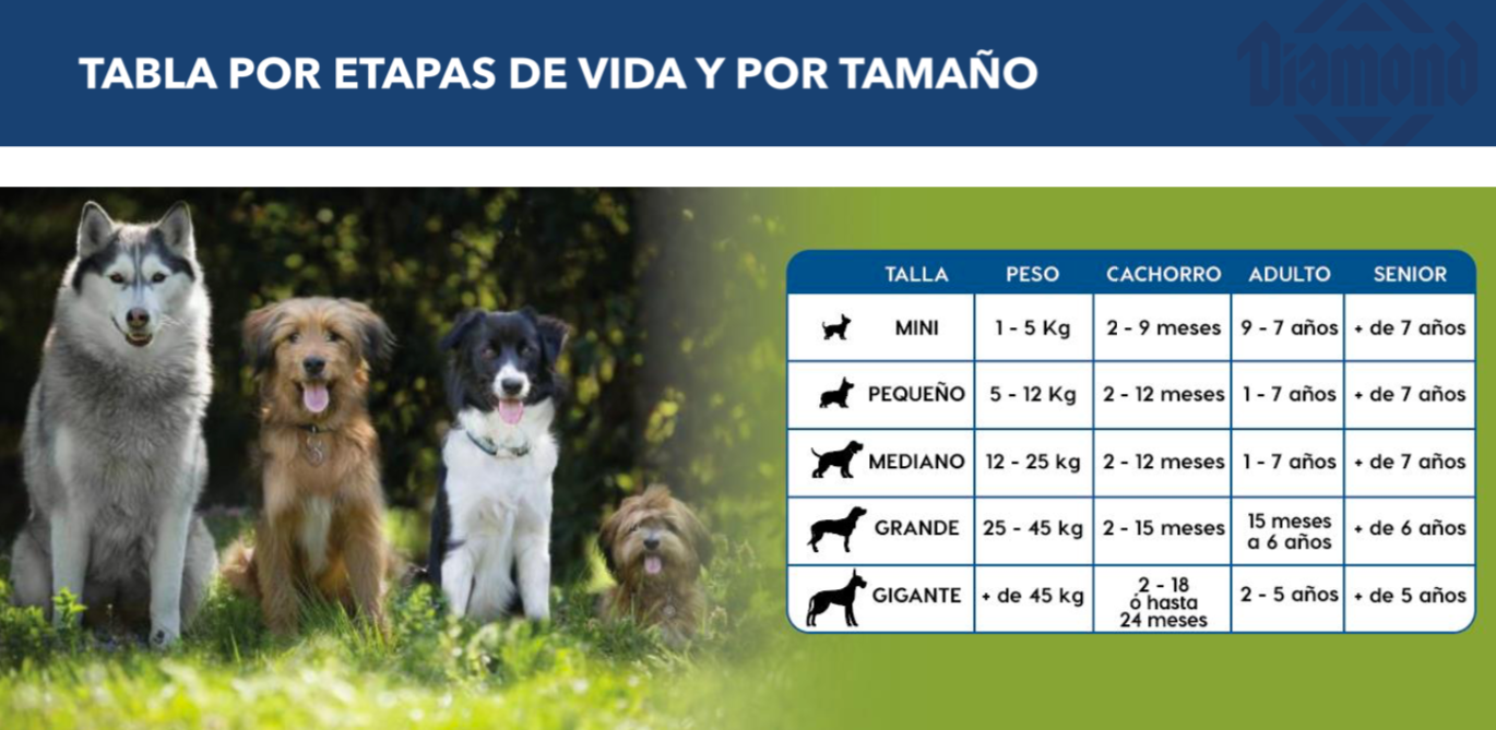 DIAMOND, Puppy todas las razas