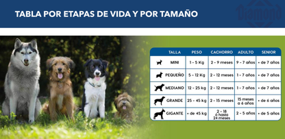 DIAMOND, Puppy todas las razas