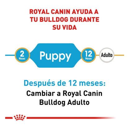 Royal Canin, Bulldog Puppy