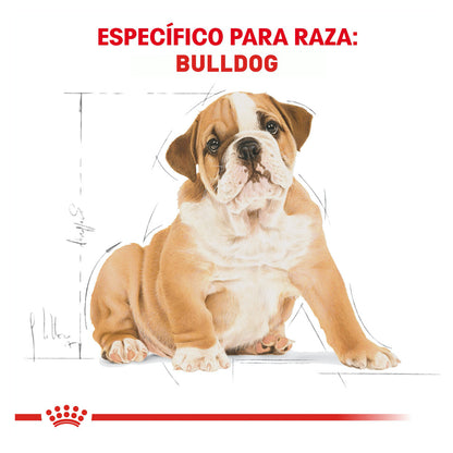 Royal Canin, Bulldog Puppy