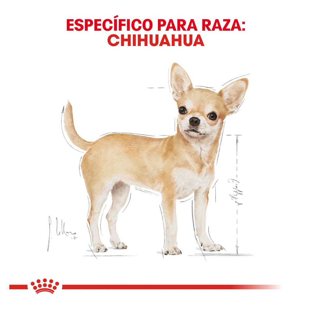 Royal Canin, Chihuahua Adult