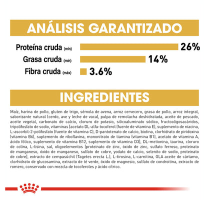 Royal Canin, Chihuahua Adult