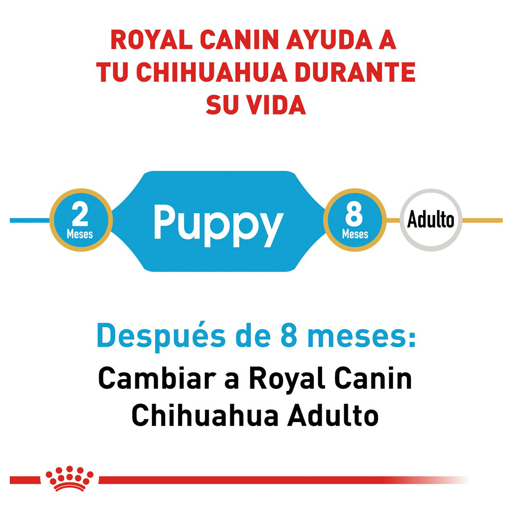 Royal Canin, Chihuahua Puppy