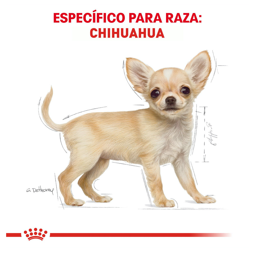 Royal Canin, Chihuahua Puppy