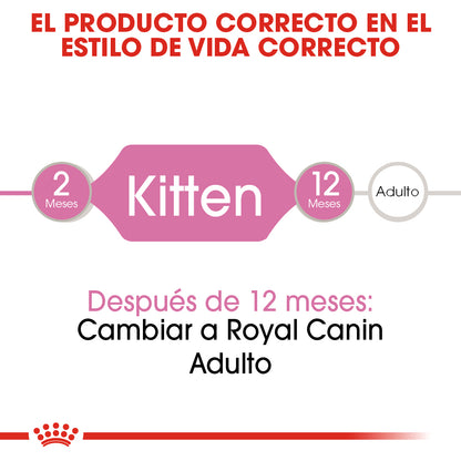 Royal Canin, Kitten Thin Slices in Gravy 85 g, PAQUETE CON 24 PIEZAS