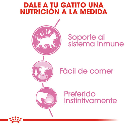 Royal Canin, Kitten Thin Slices in Gravy 85 g, PAQUETE CON 24 PIEZAS