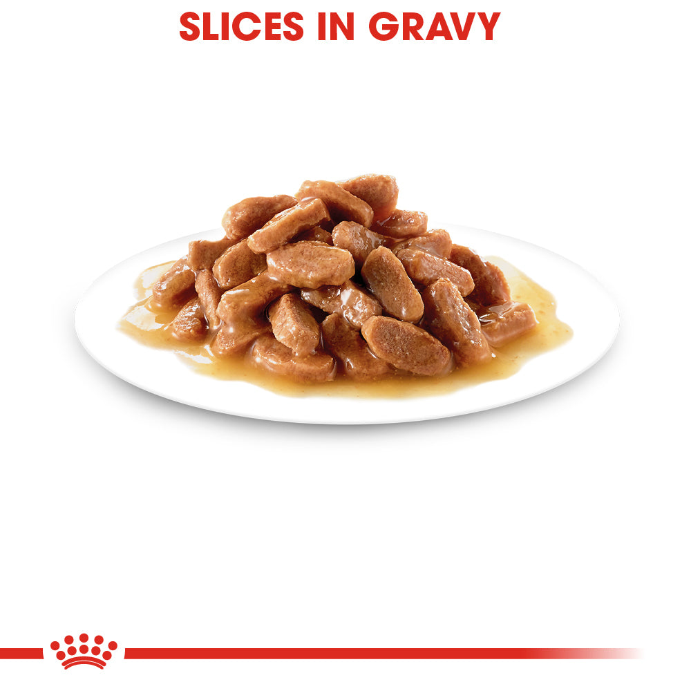 Royal Canin, Kitten Thin Slices in Gravy 85 g, PAQUETE CON 24 PIEZAS