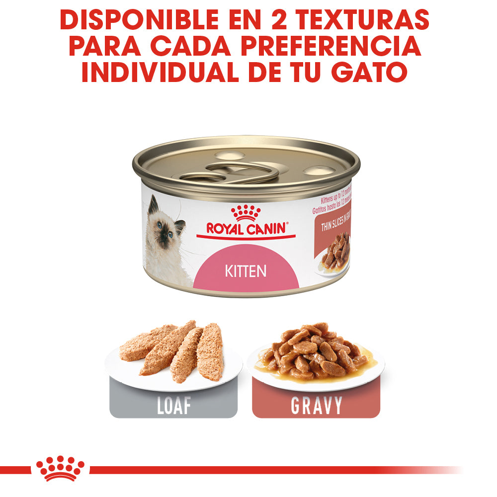 Royal Canin, Kitten Thin Slices in Gravy 85 g, PAQUETE CON 24 PIEZAS