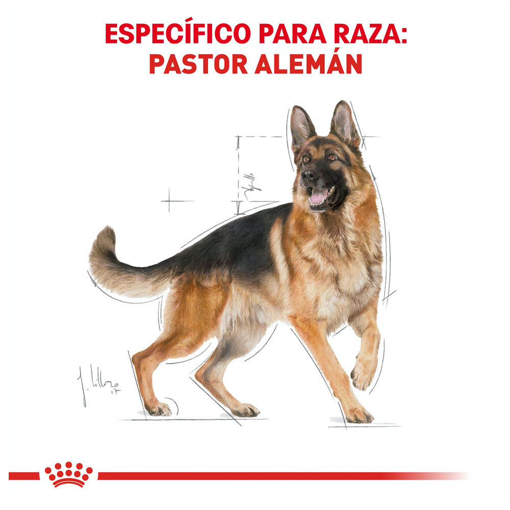 Royal Canin, German Shepherd Adult