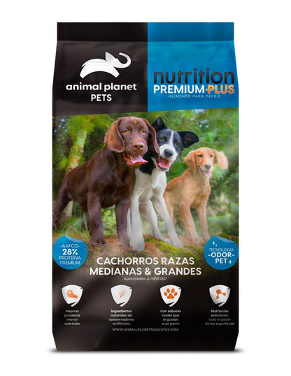 animal planet PETS, Cachorro