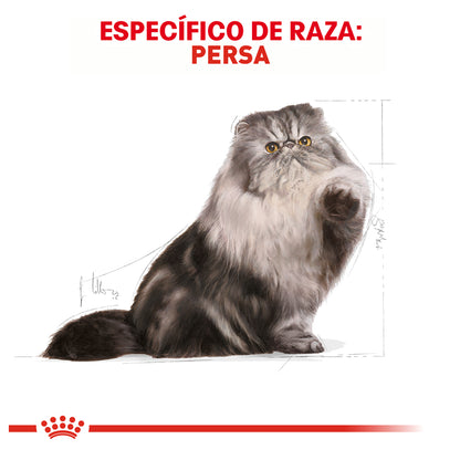 Royal Canin, Persian