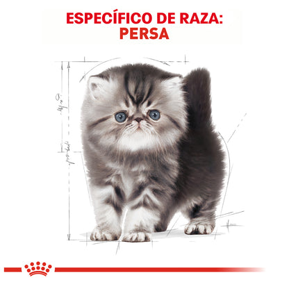 Royal Canin, Persian Kitten