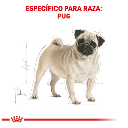 Royal Canin, Pug Adult**