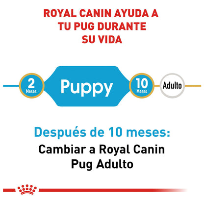 Royal Canin, Pug Puppy