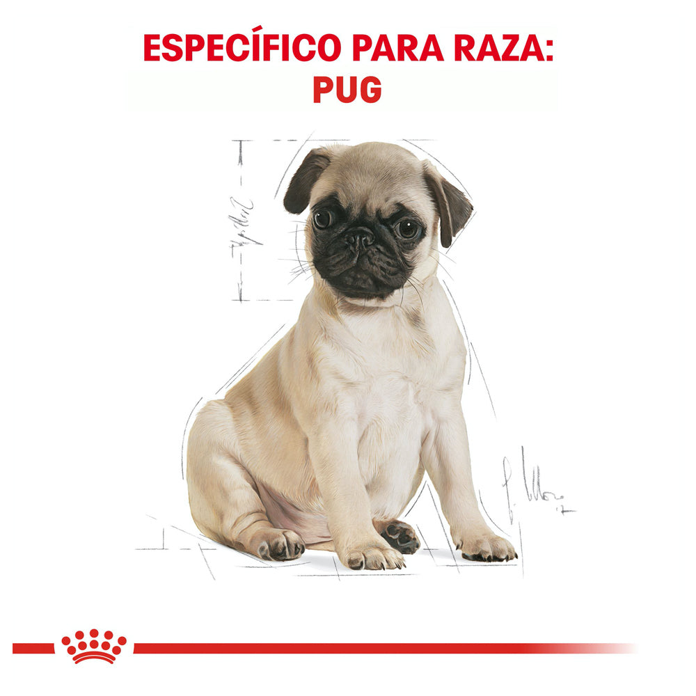 Royal Canin, Pug Puppy