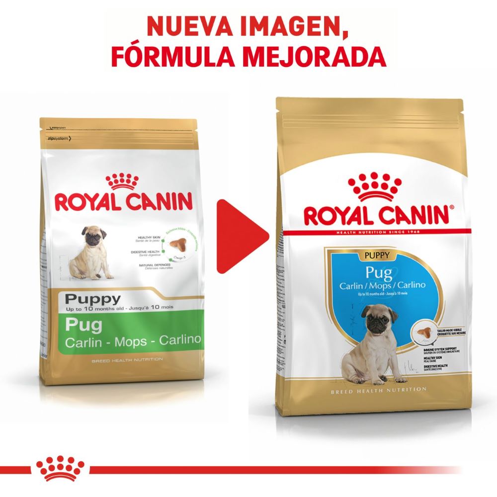 Royal Canin, Pug Puppy