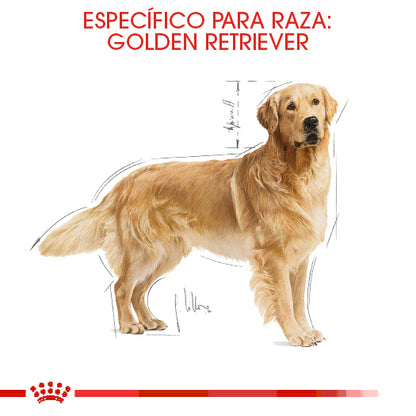 Royal Canin, Golden Retriever Adult