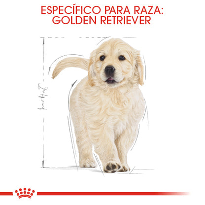 Royal Canin, Golden Retriever Puppy