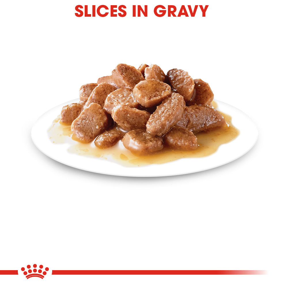 Royal Canin, Adult Instinctive Thin Slices in Gravy, SE VENDE EN PAQUETE DE 24 PIEZAS