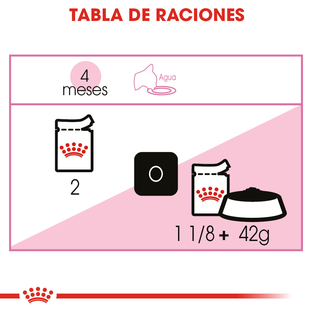 Royal Canin, Kitten Loaf in Sauce 145 g, PAQUETE CON 24 PIEZAS