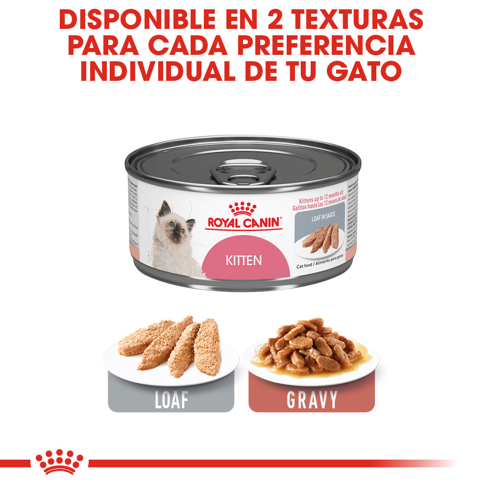 Royal Canin, Kitten Loaf in Sauce 145 g, PAQUETE CON 24 PIEZAS