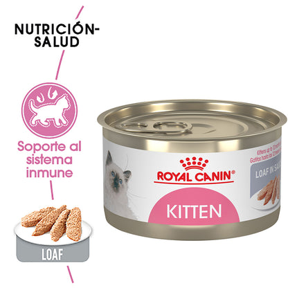 Royal Canin, Kitten Loaf in Sauce 145 g, PAQUETE CON 24 PIEZAS