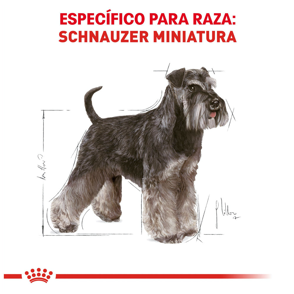 Royal Canin, Mini Schnauzer Adult