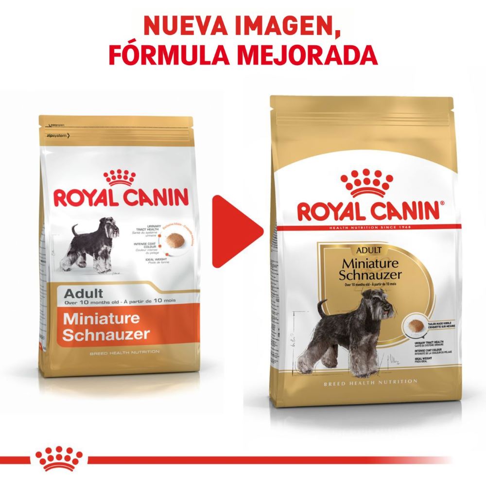 Royal Canin, Mini Schnauzer Adult