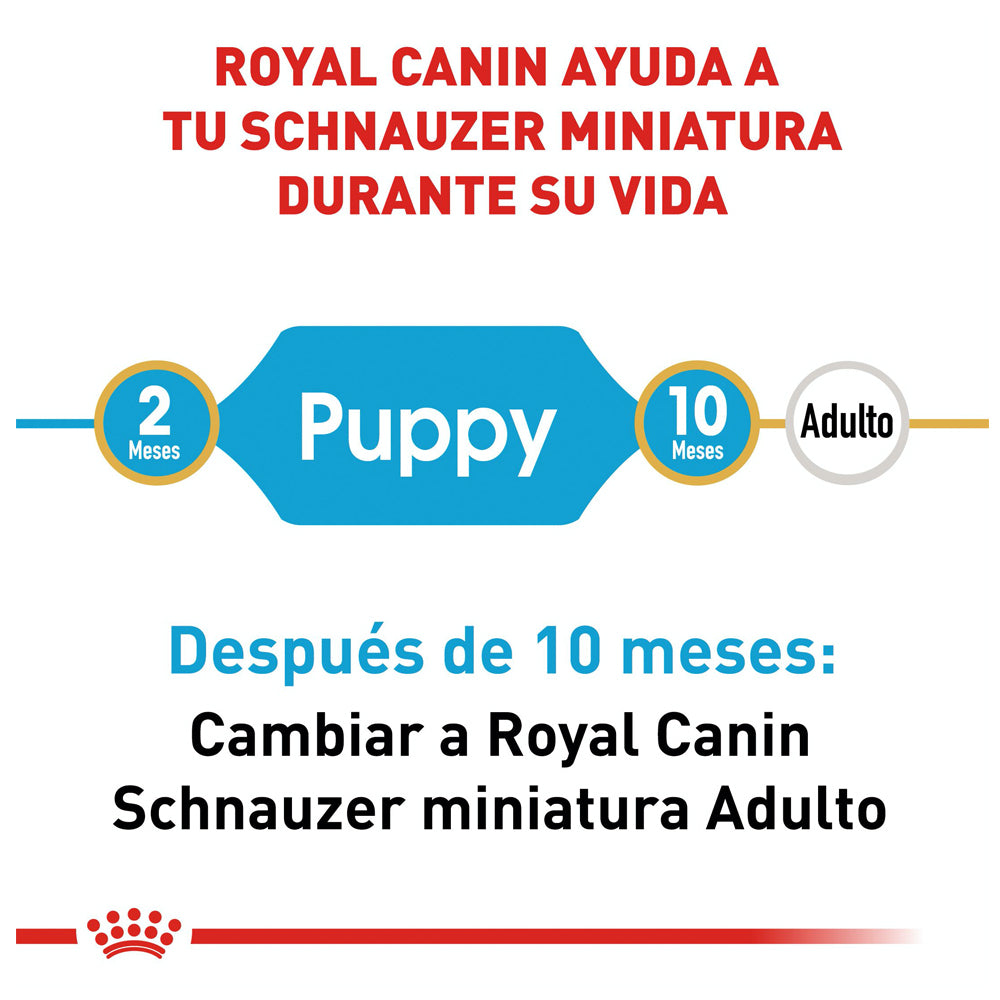 Royal Canin, Mini Schnauzer Puppy