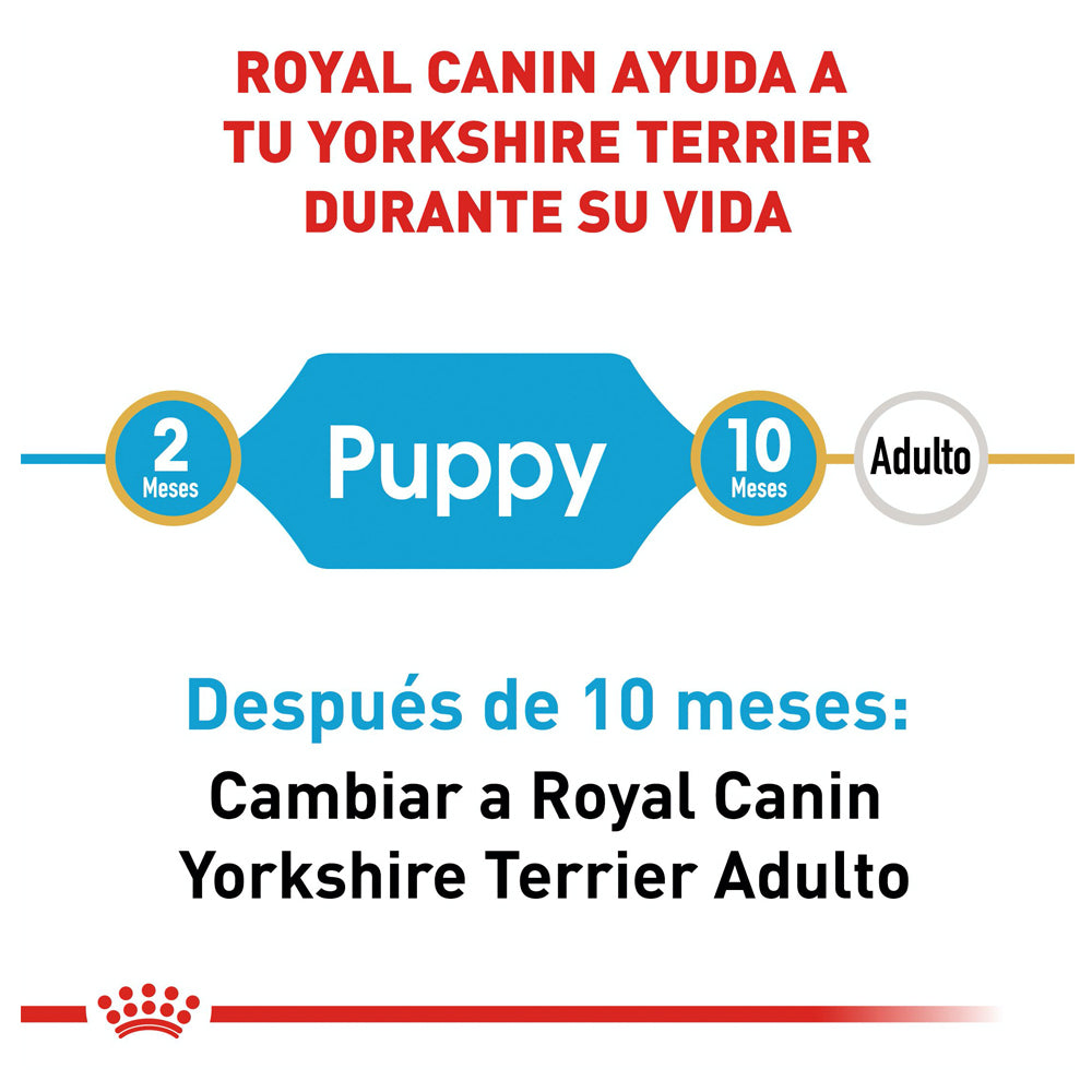 Royal Canin, Yorkshire Puppy