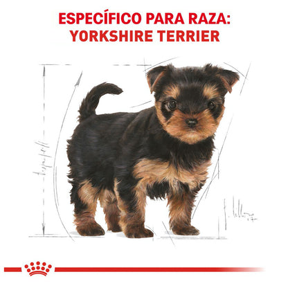 Royal Canin, Yorkshire Puppy